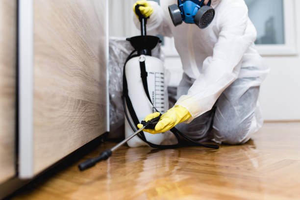 Best Affordable Pest Control Services  in Overton, TX