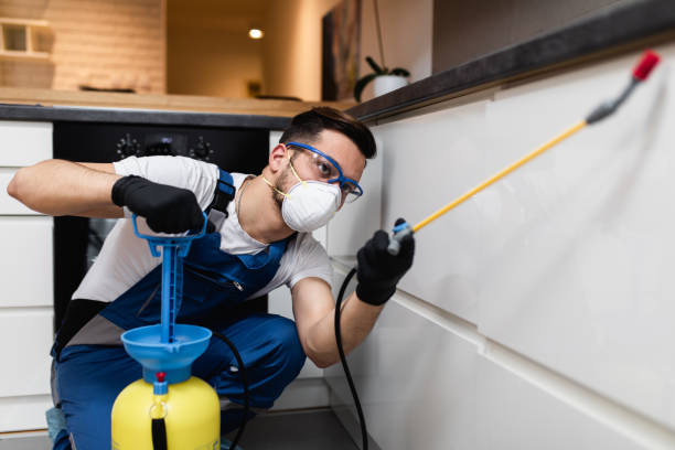 Best Local Pest Control Services  in Overton, TX