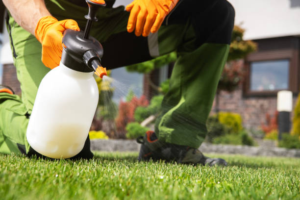 Best Affordable Pest Control Services  in Overton, TX