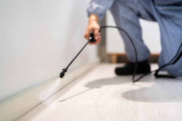Flea Control Services in Overton, TX