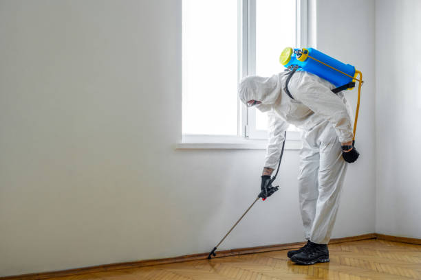 Trusted Overton, TX Pest Control Experts