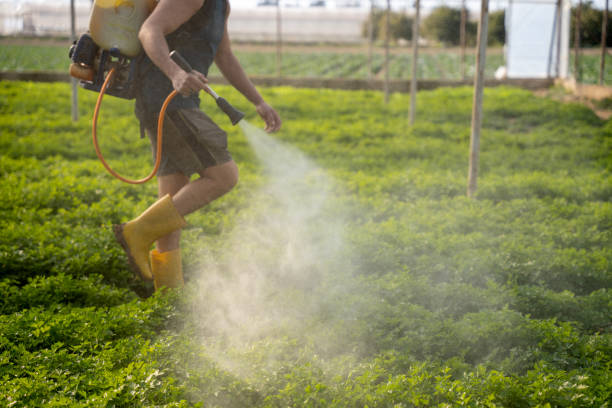 Best Best Pest Control Near Me  in Overton, TX
