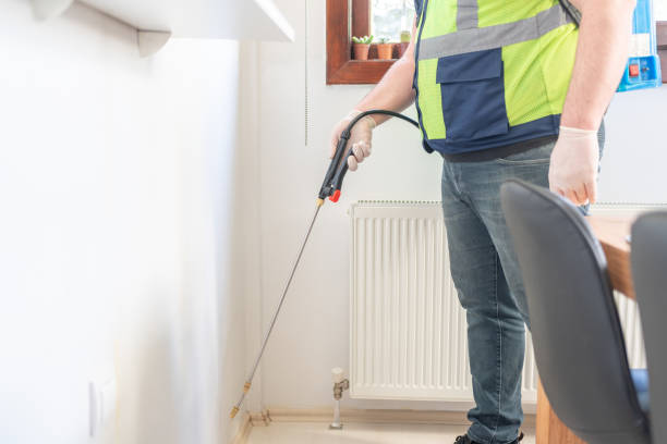 Best Pest Control Near Me  in Overton, TX