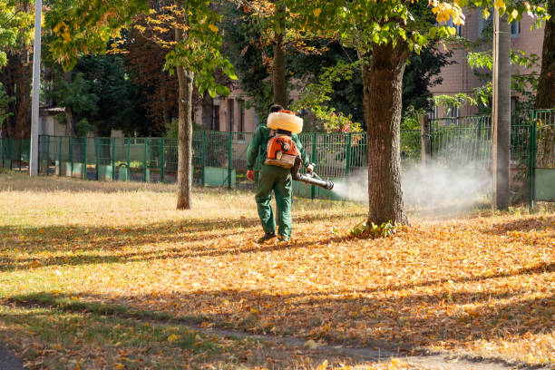 Best Pest Inspection Near Me  in Overton, TX